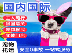 韶关国际宠物托运 【国